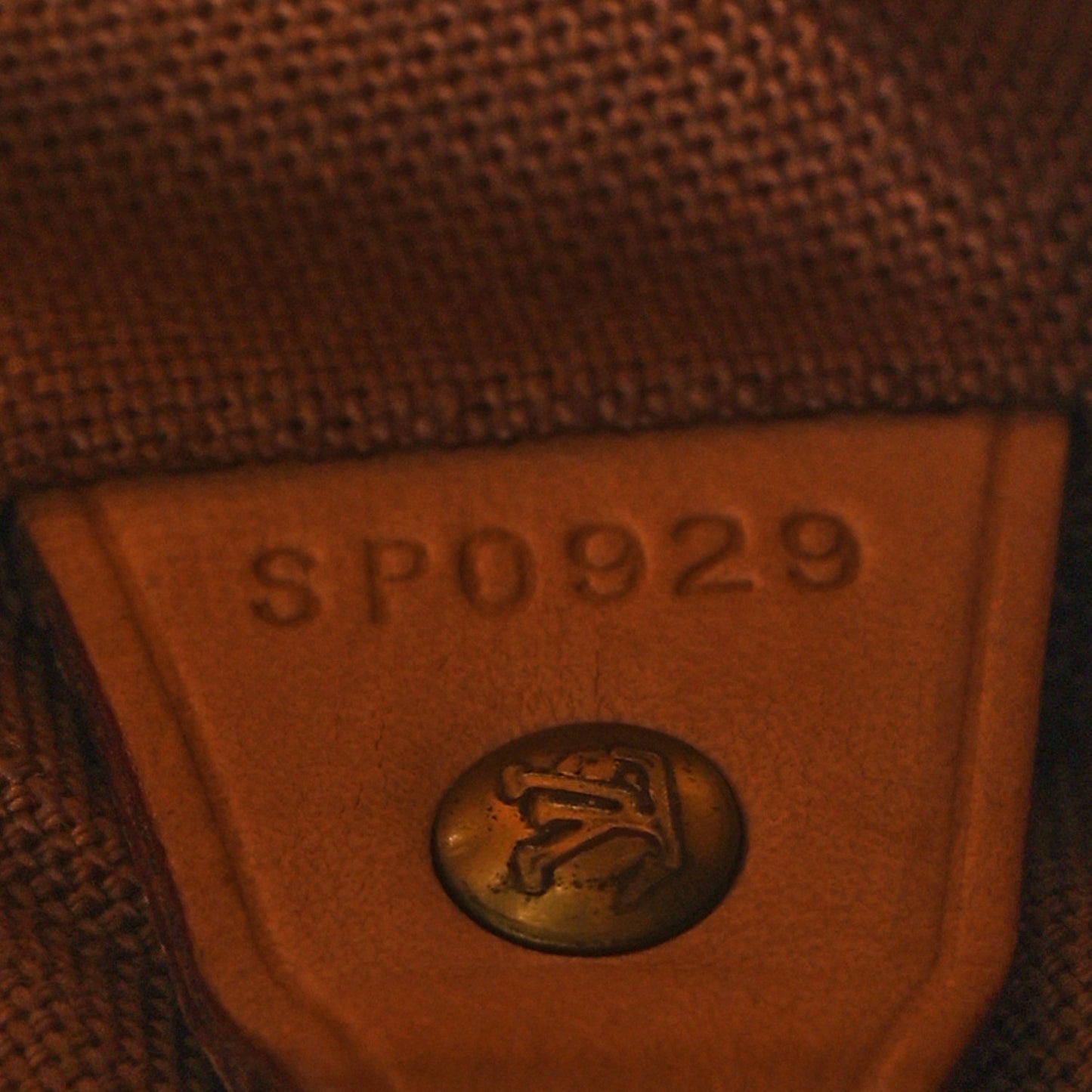Monogram Montsouris GM Backpack