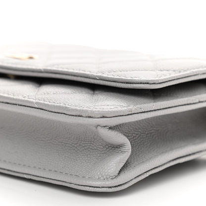 Chanel Caviar Quilted Wallet On Chain WOC Grey 11 of 14