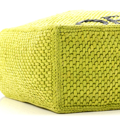 Loewe X PAULA'S IBIZA Raffia Font Tote Meadow Green 8 of 9