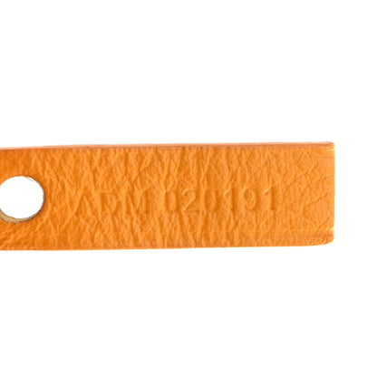 Goyard Goyardine Saint Louis PM Yellow 8 of 16