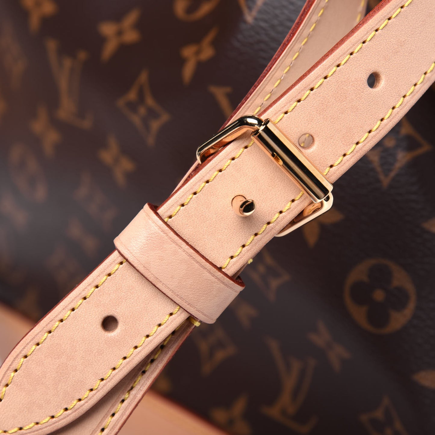 Monogram Petit Noe NM