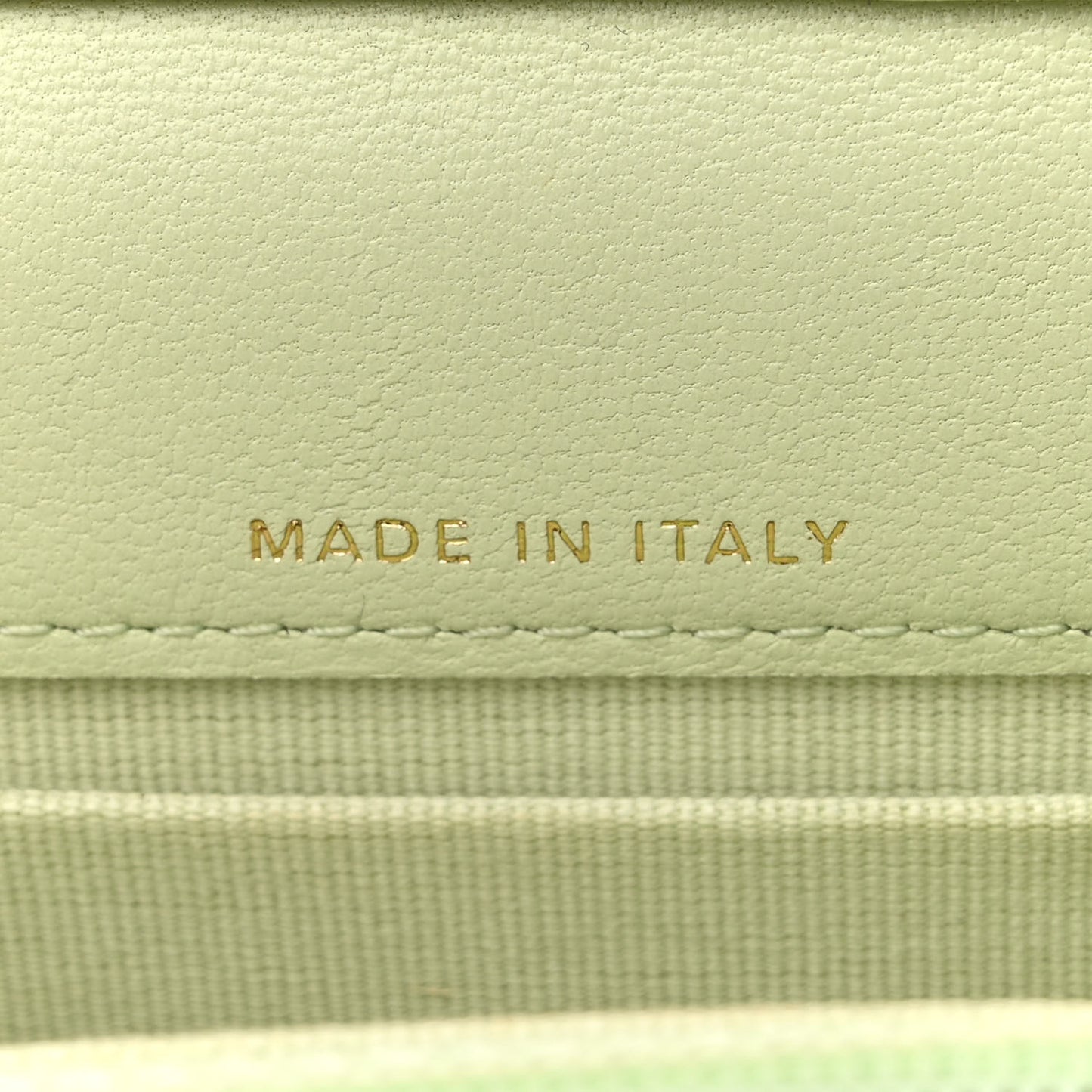 Lambskin Quilted Chanel 19 Clutch With Chain Light Green