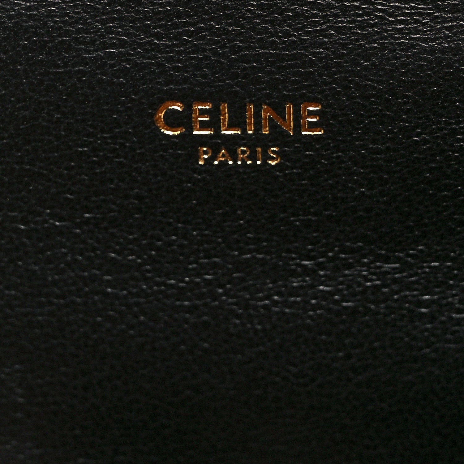 Celine Snakeskin Medium Chain Maillon Triomphe Brown 5 of 7
