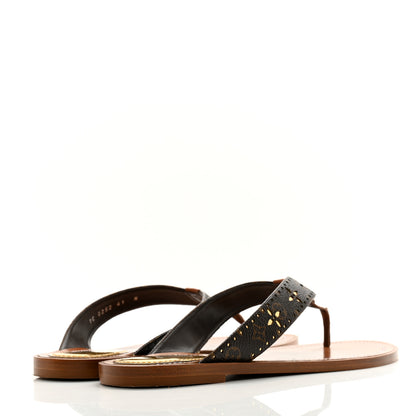 Louis Vuitton Monogram Sunny Flat Thong Sandals 41 Brown 4 of 10