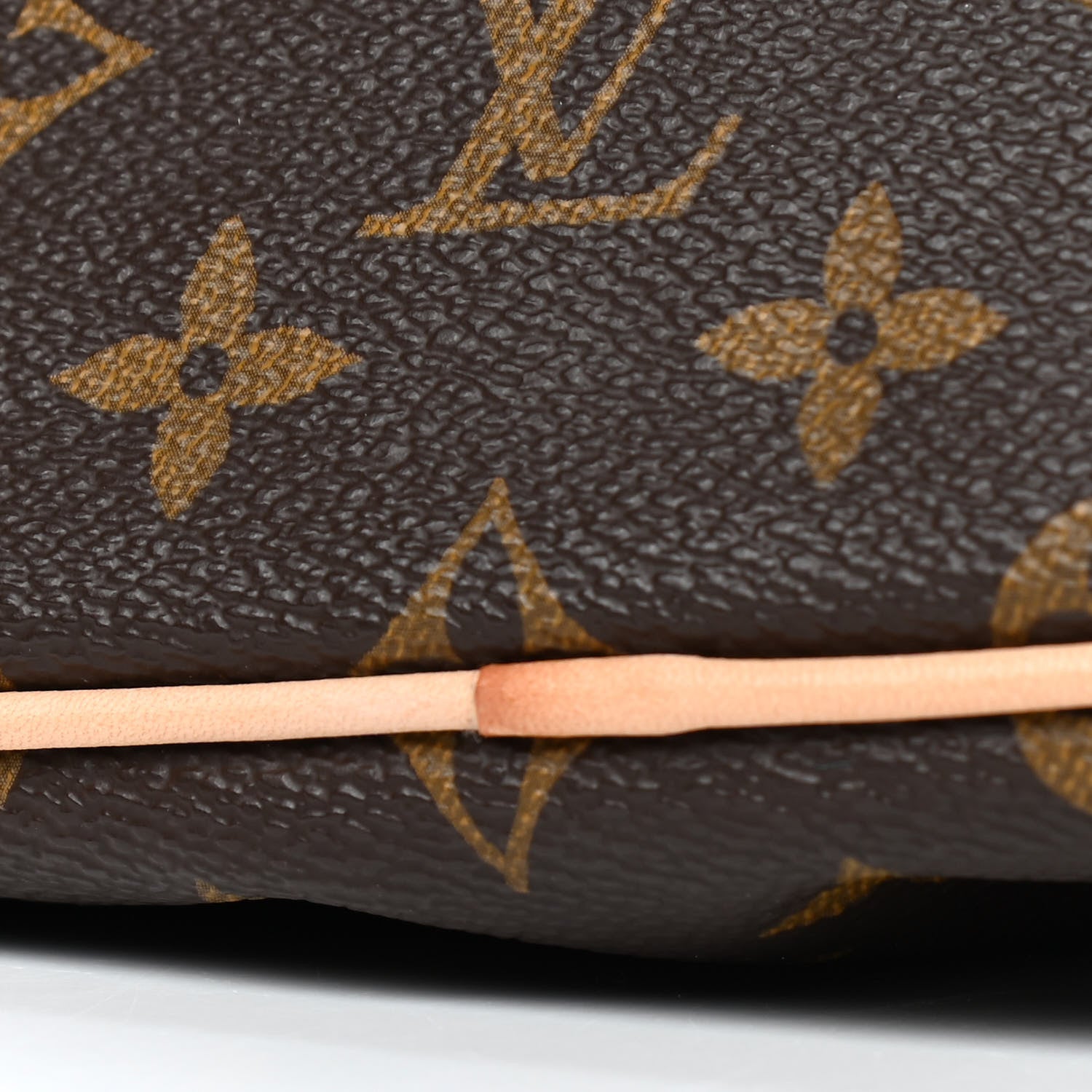 Louis Vuitton Monogram Palermo PM 5 of 6