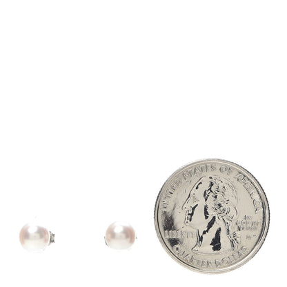 Tiffany 18k White Gold Akoya Pearl 7-7.5mm Signature Earrings 2 of 5