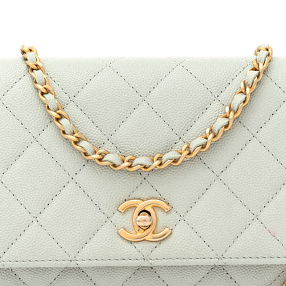 Chanel Caviar Quilted Medallion Wallet on Chain WOC Light Grey 8 of 12