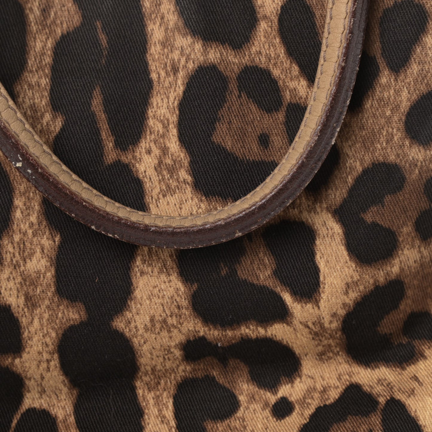Canvas Leopard Print Calfskin Animalier Tote Beige