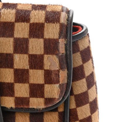 Louis Vuitton Damier Calf Hair Sauvage Lionne 10 of 14