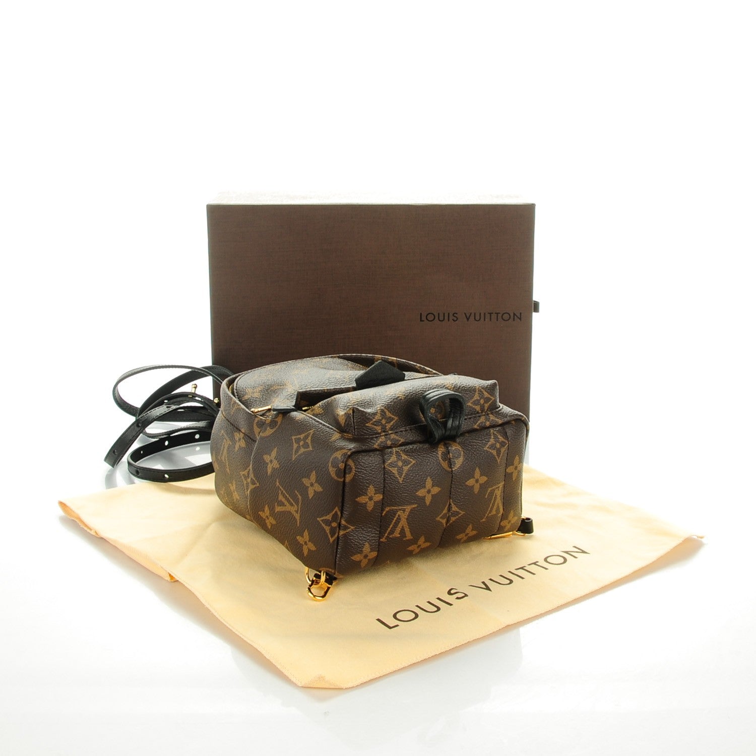Louis Vuitton Monogram Palm Springs Backpack Mini 4 of 7