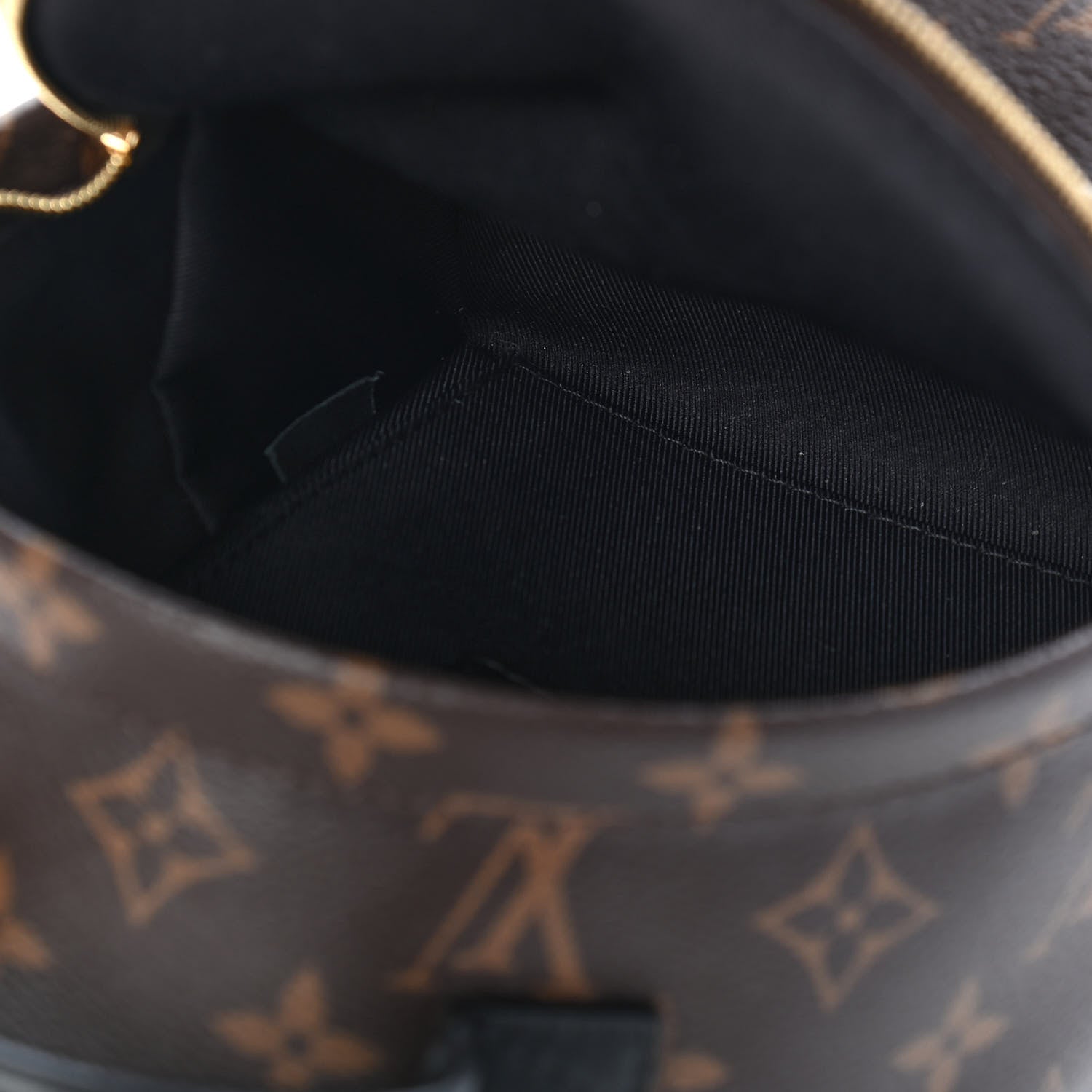 Louis Vuitton Monogram Palm Springs Backpack Mini 5 of 10