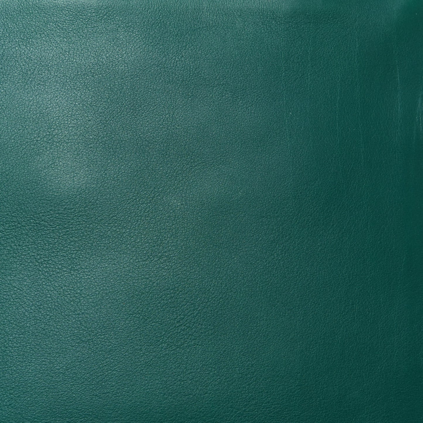 Calfskin Large Laundry Cabas Tote Green