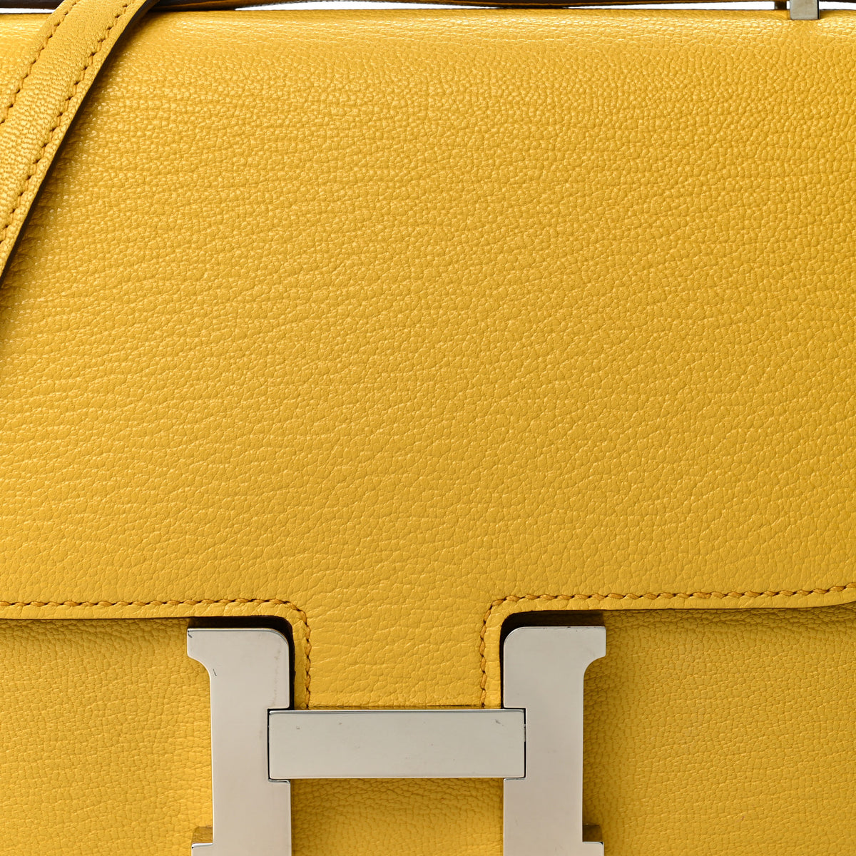 Chevre Mysore Constance 18 Jaune De Naples