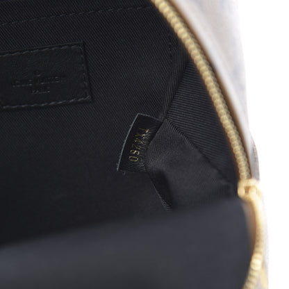 Louis Vuitton Reverse Monogram Palm Springs Backpack Mini 6 of 10