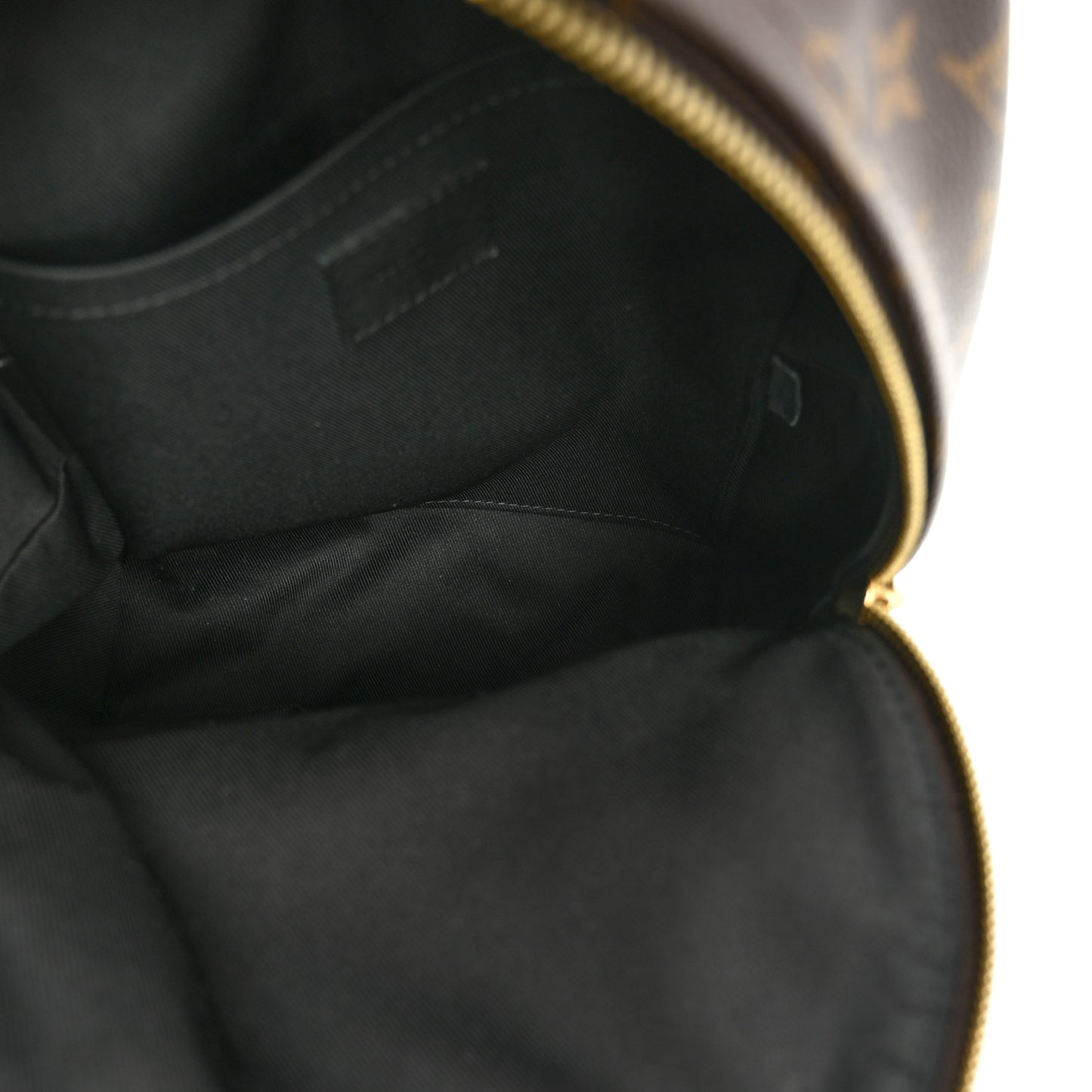 Monogram Palm Springs Backpack PM