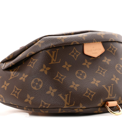 Louis Vuitton Monogram Bumbag 8 of 10