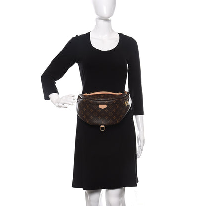 Louis Vuitton Monogram Bumbag 2 of 11