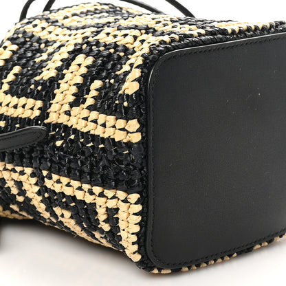 Fendi Raffia Vitello Seta F is Fendi FF Woven Mini Mon Tresor Bucket Bag Black Natural 9 of 10