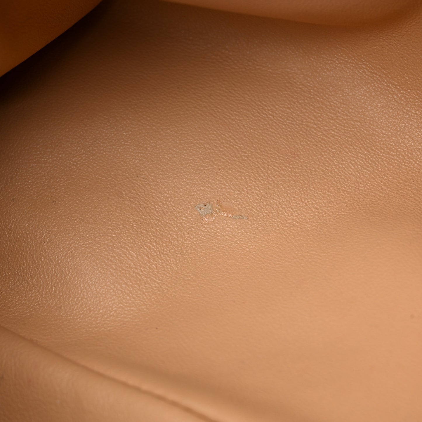 Calfskin The Pouch Chain Almond