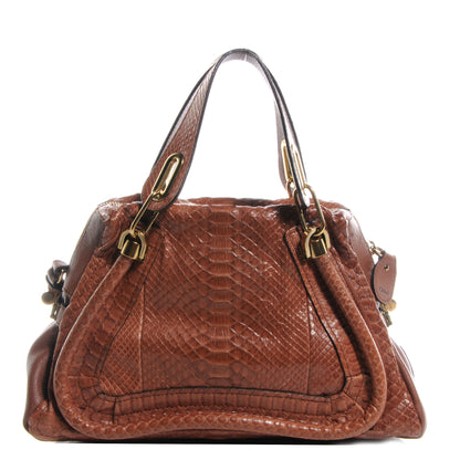 Chloe Python Medium Paraty Oak 1 of 10
