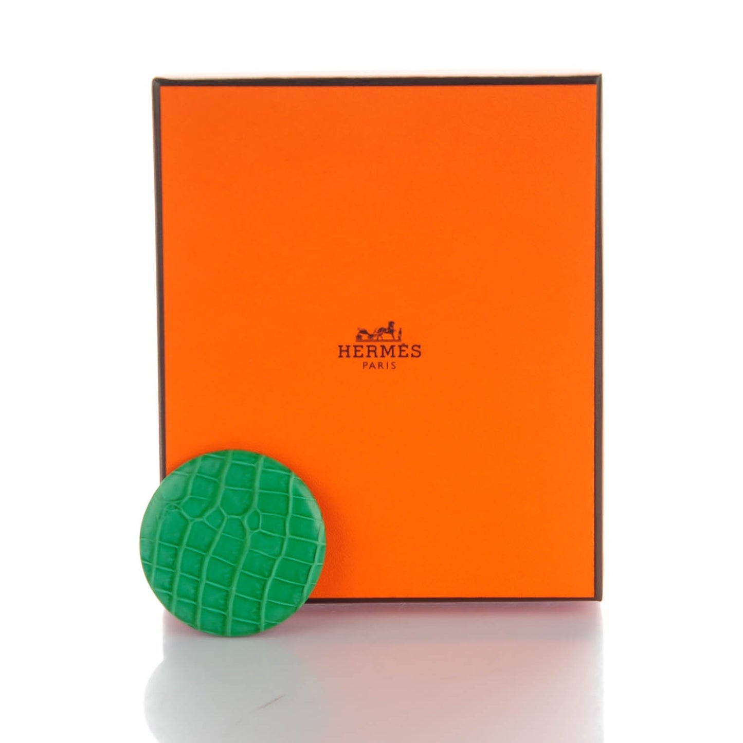 Matte Alligator Petit H Pin Brooch Cactus