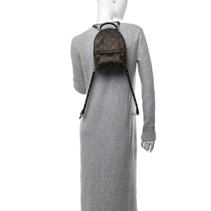 Louis Vuitton Monogram Palm Springs Backpack Mini 2 of 10