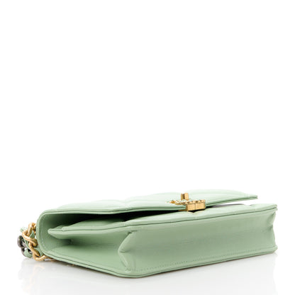 Chanel Lambskin Quilted Chanel 19 Wallet On Chain WOC Light Green 4 of 12