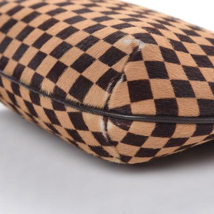 Louis Vuitton Calf Hair Damier Sauvage Tigre 10 of 13