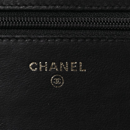 Chanel Lambskin Studded Wallet on Chain WOC Grey 7 of 15
