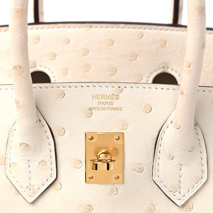 Hermes Ostrich Birkin 25 Nata 6 of 9