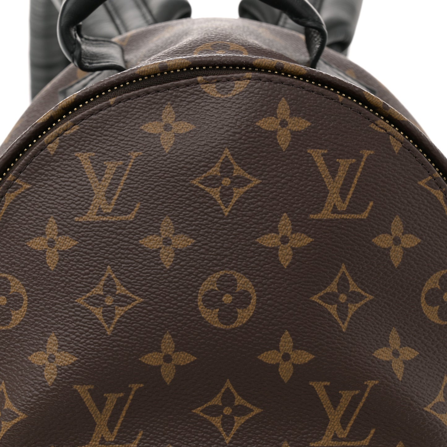 Monogram Palm Springs Backpack PM