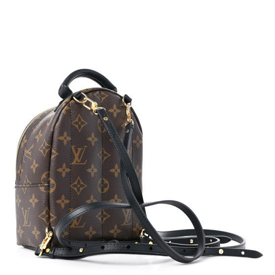 Louis Vuitton Monogram Palm Springs Backpack Mini 3 of 9