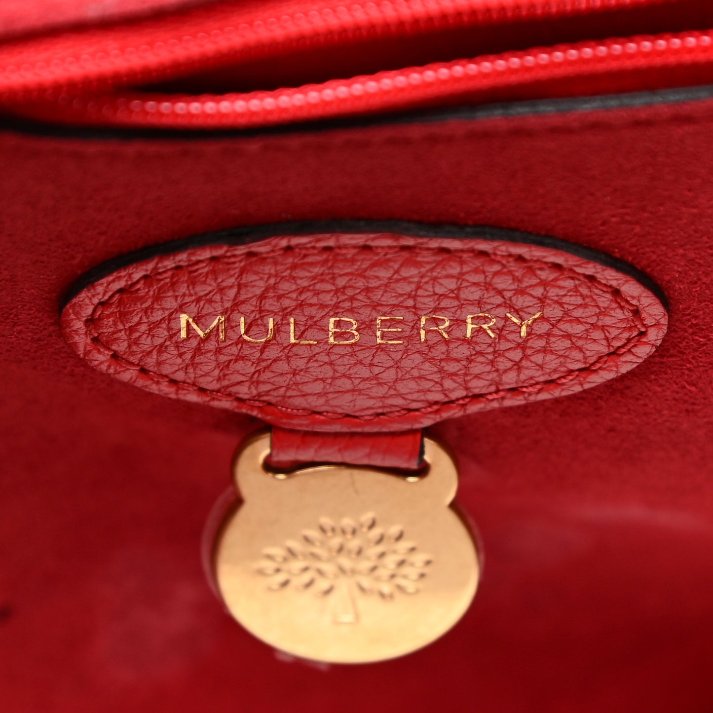 Small Classic Grain Calfskin Medium Lily Flap Scarlet