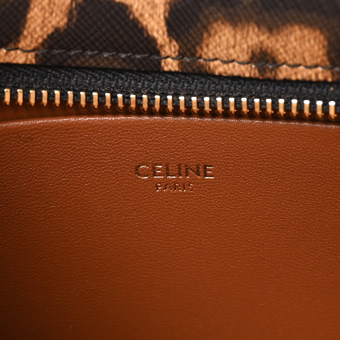 Canvas Calfskin Medium Tilly Triomphe Shoulder Bag Leopard