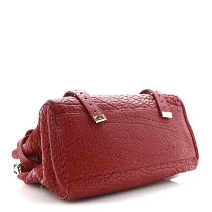 Mulberry Shrunken Calfskin Medium Alexa Red 6 of 16