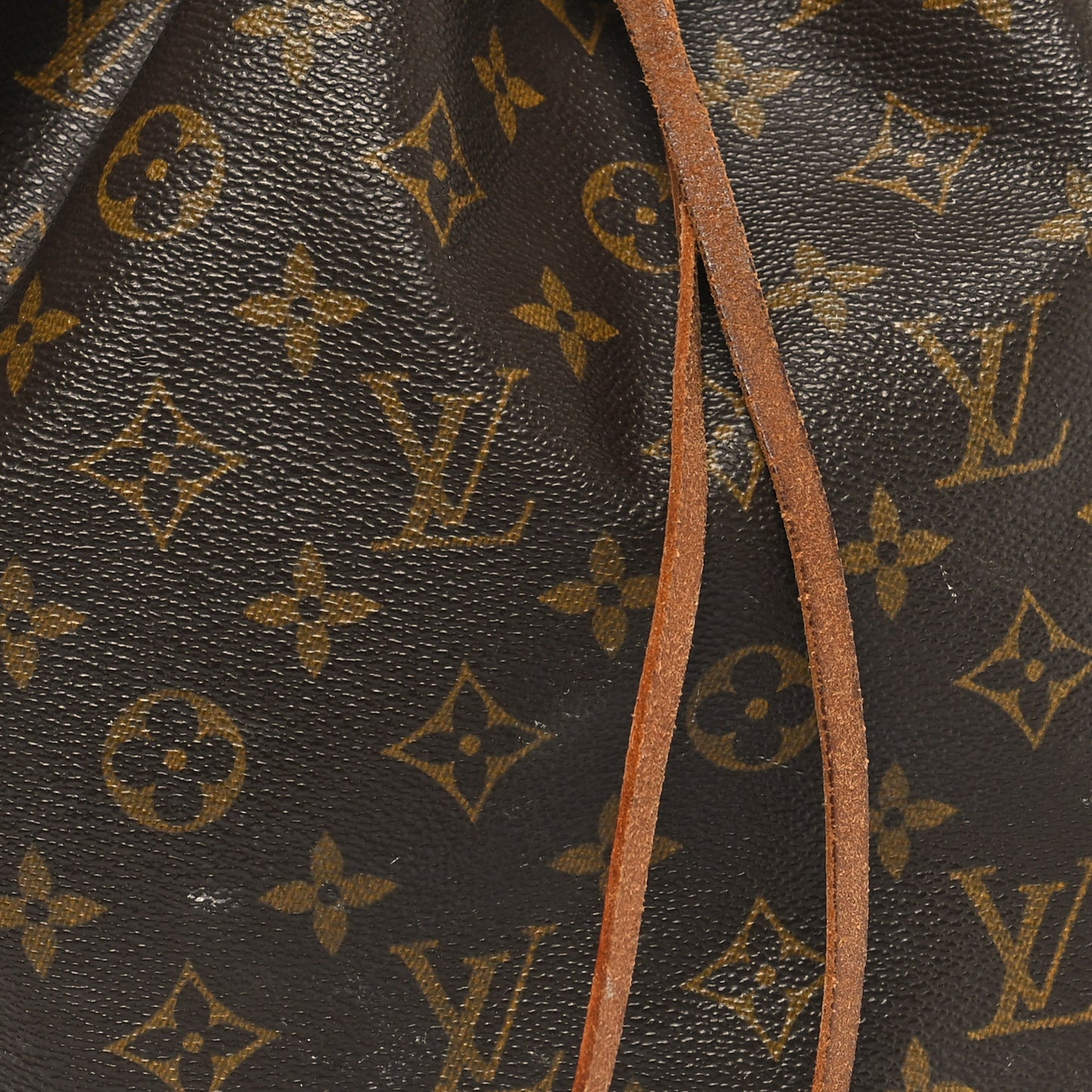 Monogram Petit Noe