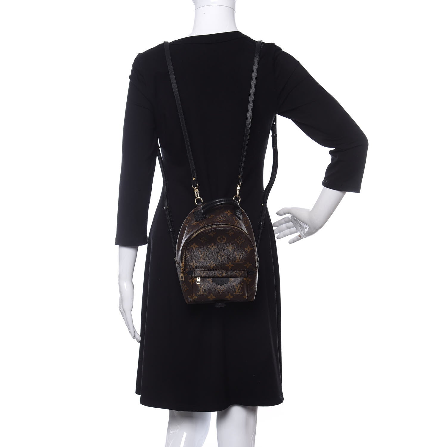 Louis Vuitton Monogram Palm Springs Backpack Mini 2 of 12