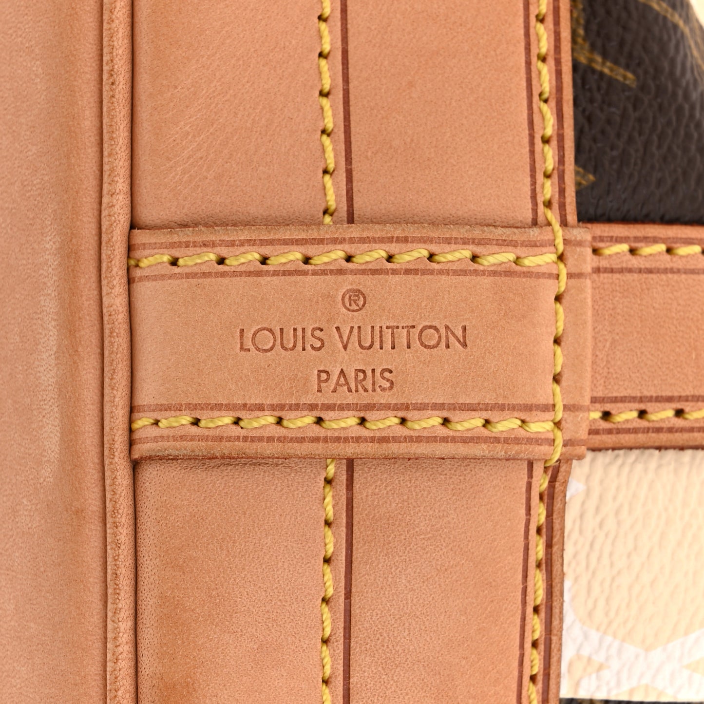 Monogram Rayures Noe