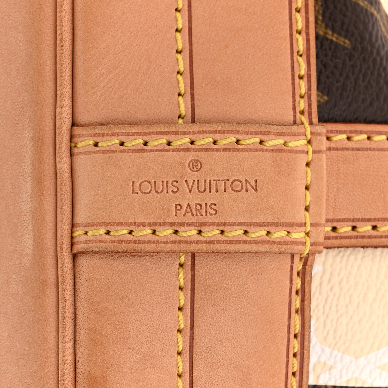 Louis Vuitton Monogram Rayures Noe 6 of 10