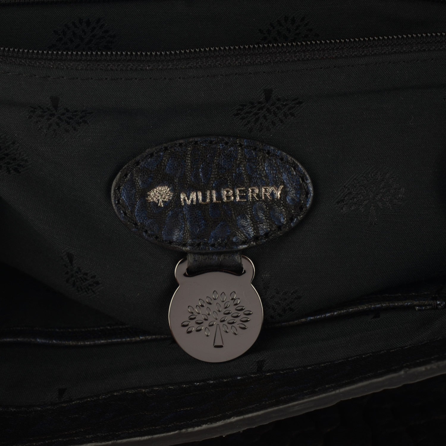 Mulberry Shrunken Calfskin Medium Alexa 5 of 9