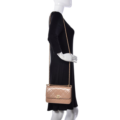 Chanel Calfskin Quilted Perfect Fit Flap Beige 2 of 8