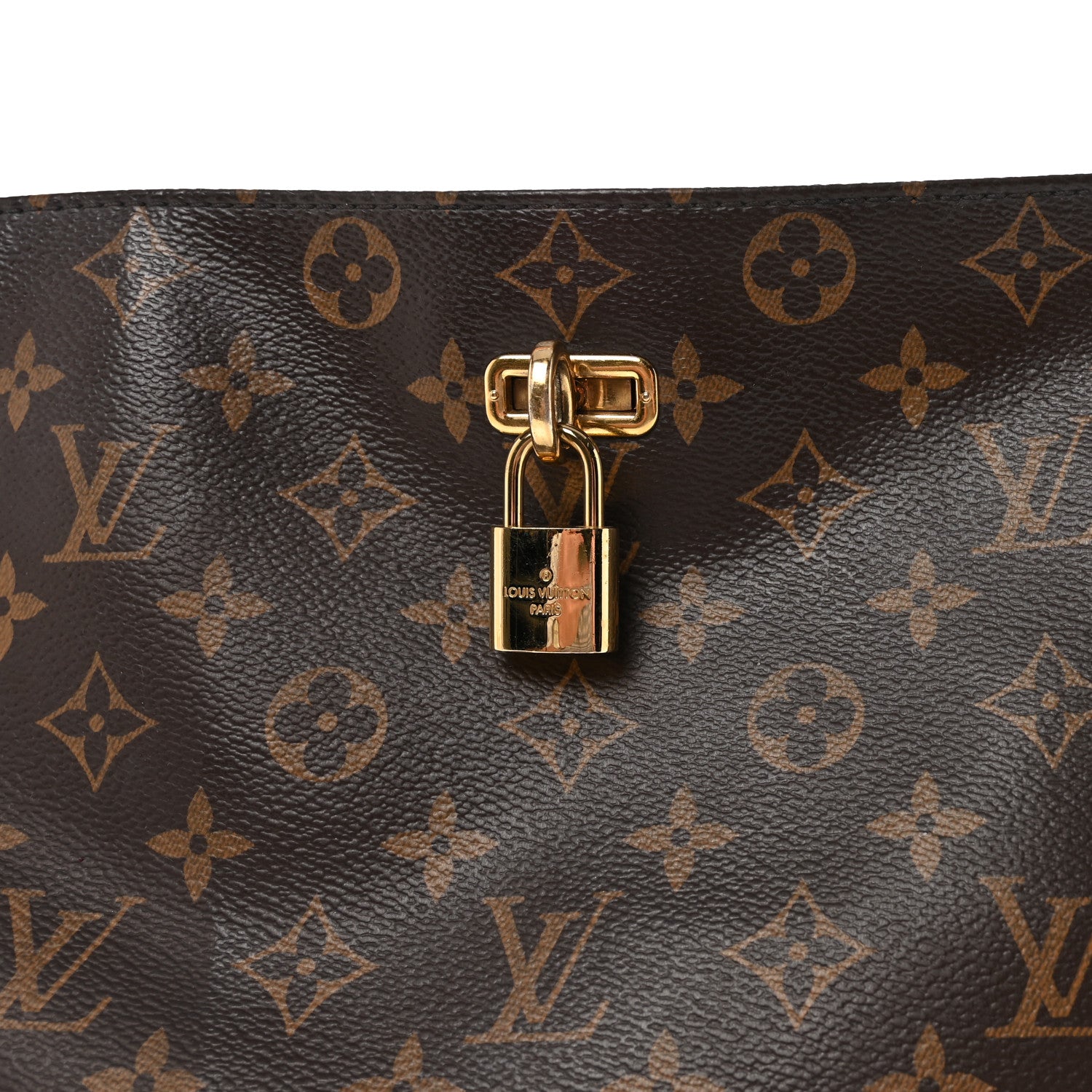 Louis Vuitton Monogram Python Ostrich Gaia Bordeaux 1829096