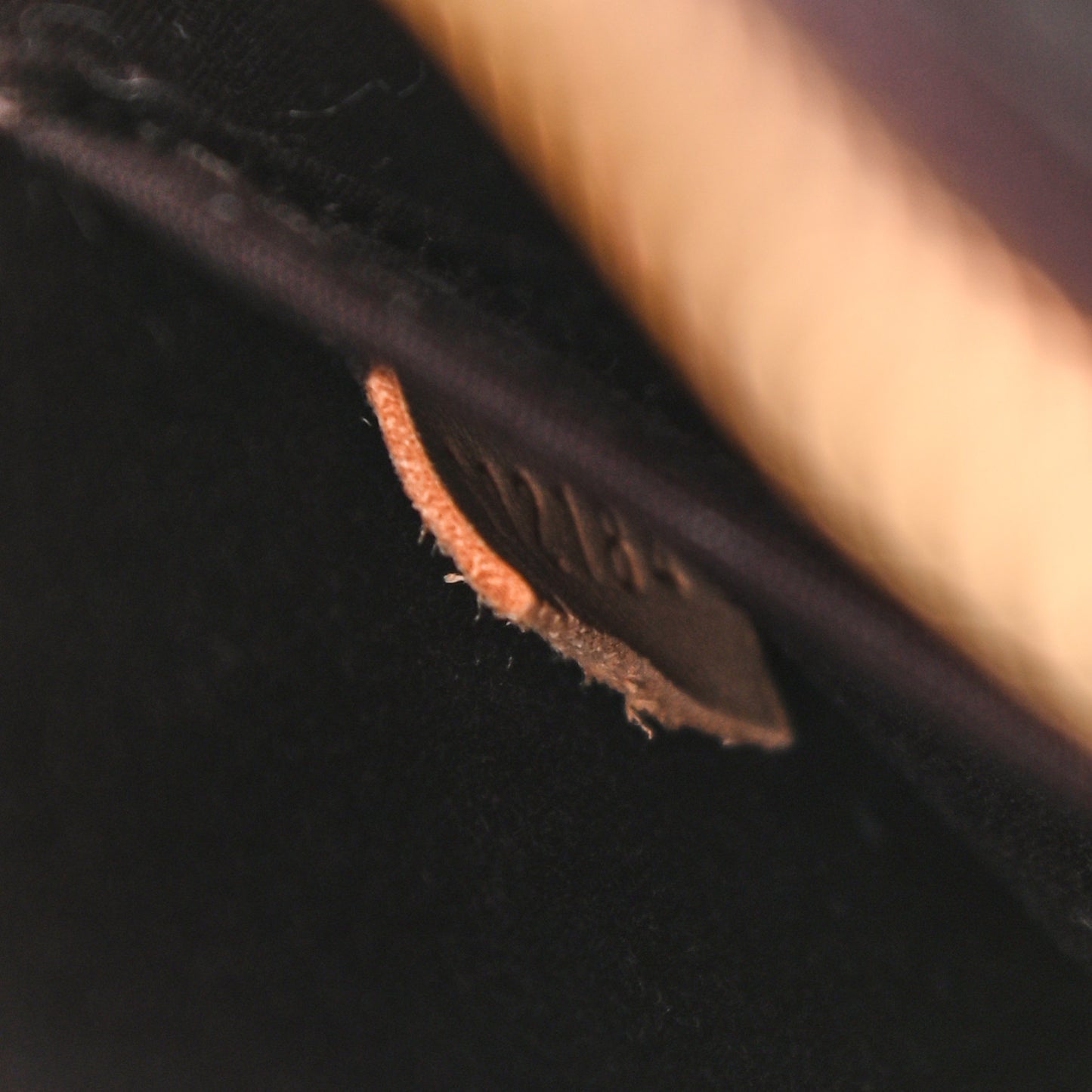 Vernis Alma PM Amarante