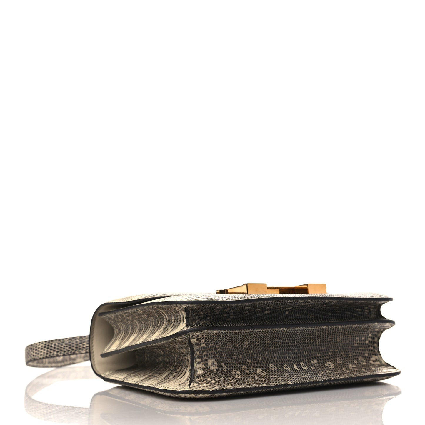 Lizard Constance 18 Ombre