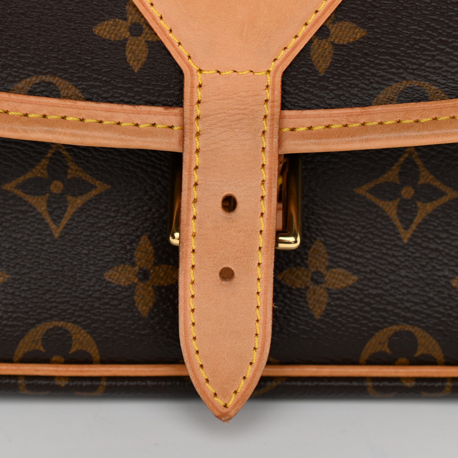 Louis Vuitton Monogram Sologne 10 of 10