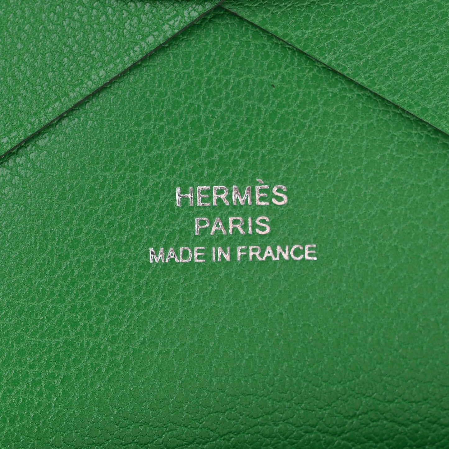 Chevre Mysore Calvi Duo Card Case Cactus