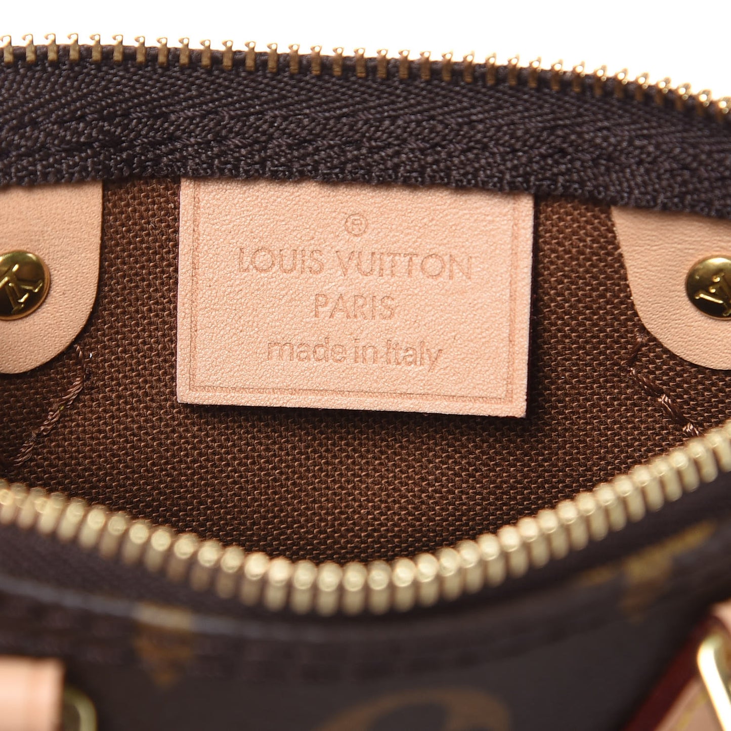 Monogram Nano Speedy