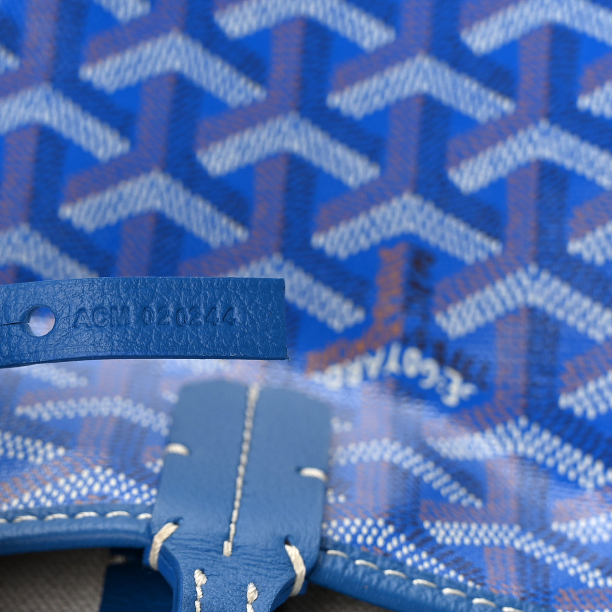 Goyard Goyardine Saint Louis PM Sky Blue 8 of 11