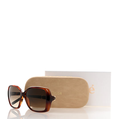 Chloe Oversized Round Sunglasses CE680S Tortoise 7 of 7
