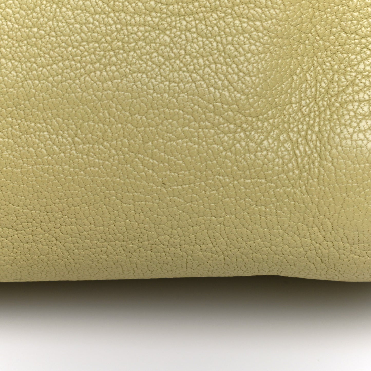 Glossy Goatskin Small Lily Flap Pistachio